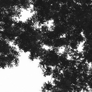 女上位高潮疯狂国产AV
